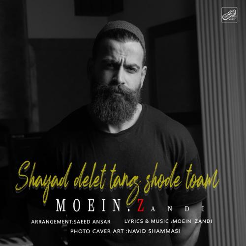 دانلود آهنگ جدید معین زندی با عنوان شاید دلت تنگ شده توام